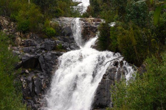 Steavenson Falls